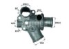 FIAT 60808795 Thermostat, coolant
